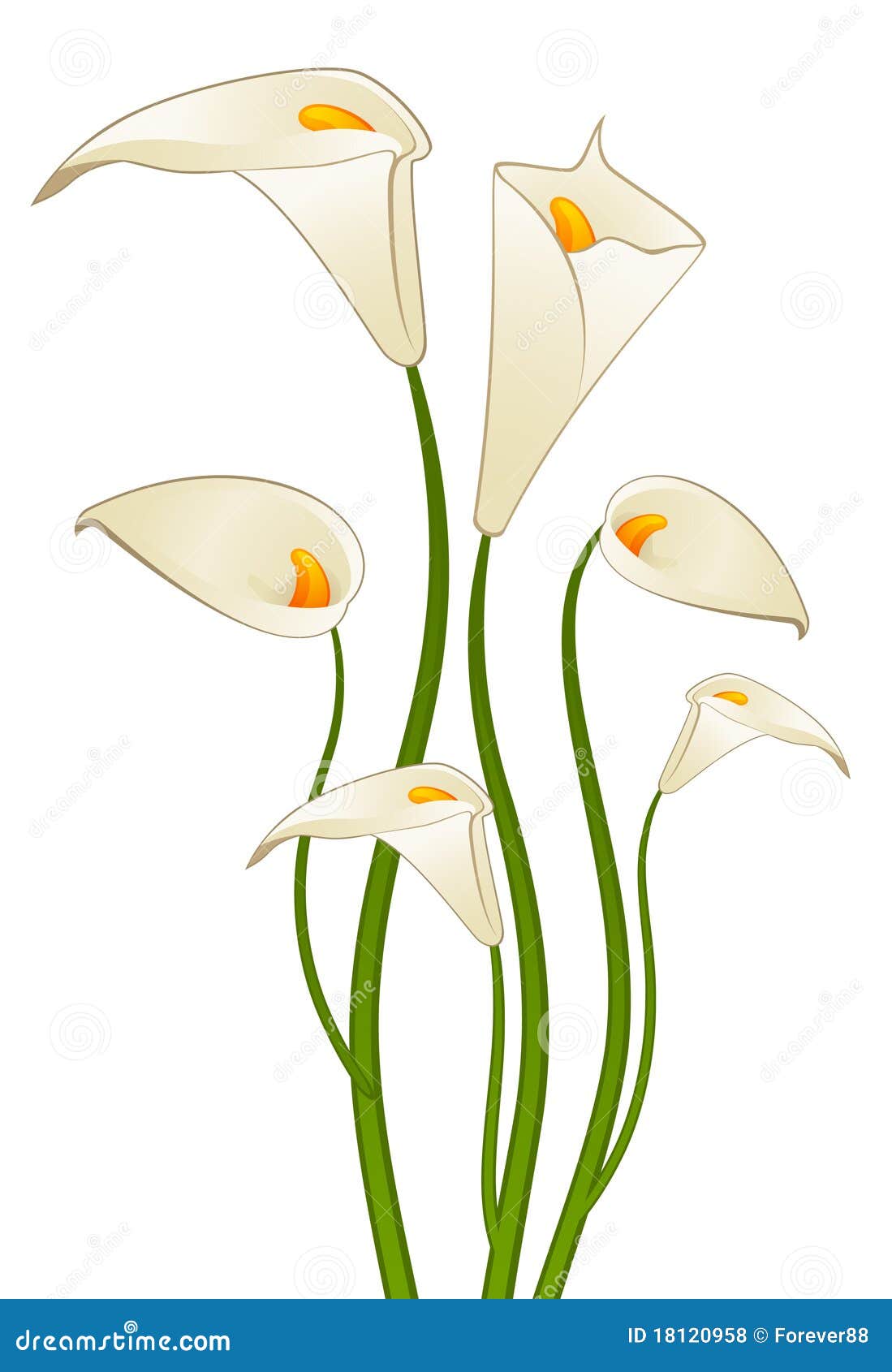 Beautiful tropical lillies stock vector. Illustration of ornate - 18120958