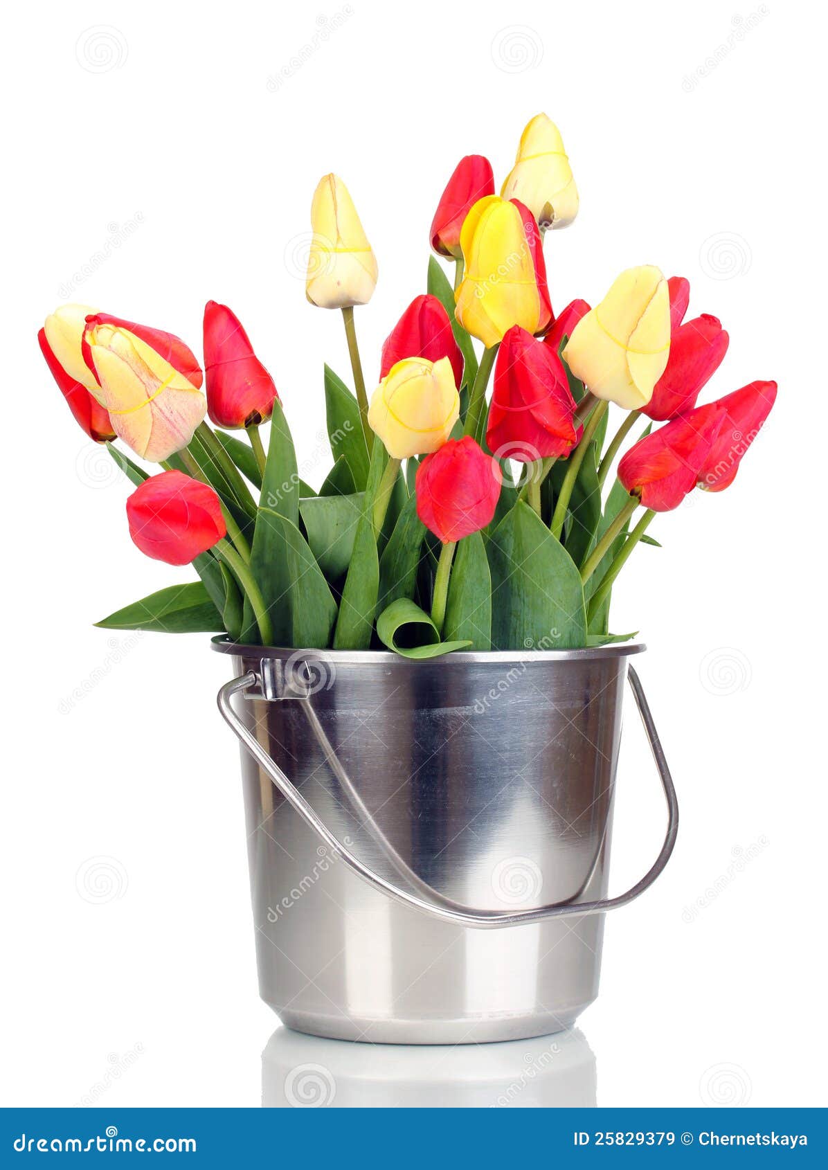 Beautiful tulips in bucket stock image. Image of classic - 25829379