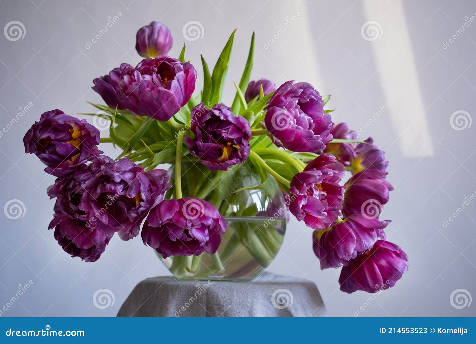 Beautiful Tulips in a Glass Vase Stock Image Image of bouquet