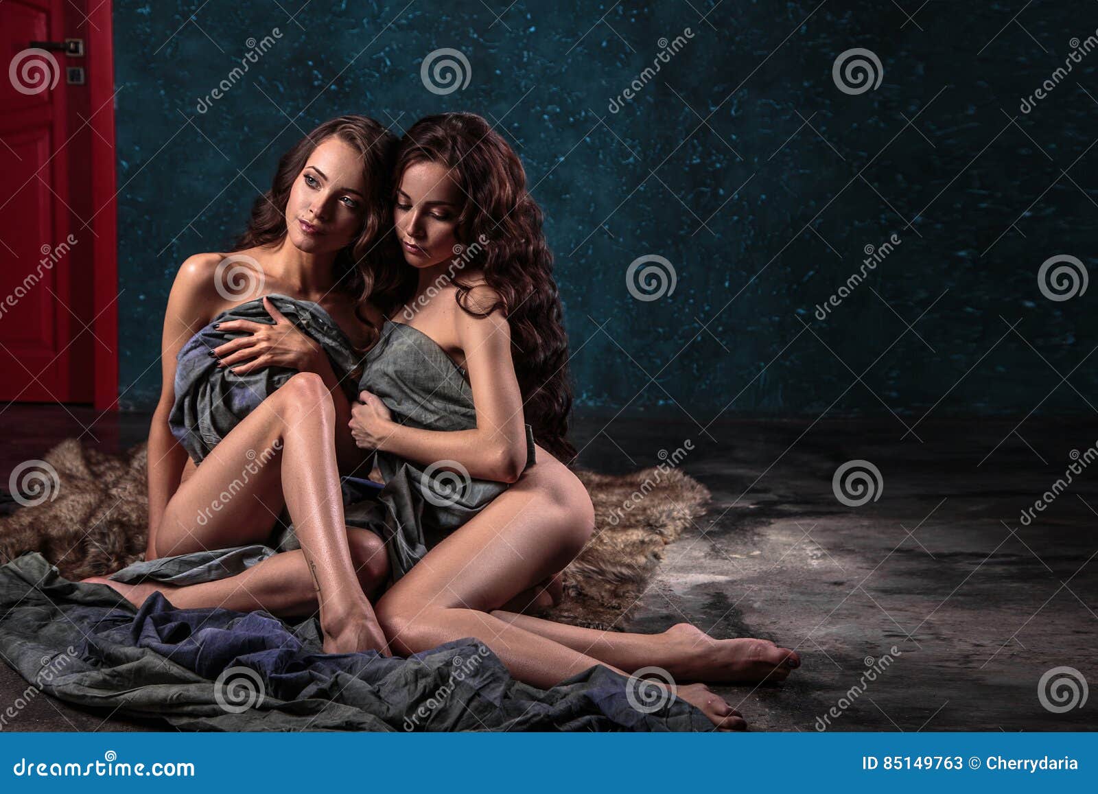 Beautiful Twins Young Women with Natural Make-up and Hair Style Posing Naked Covered with Grey Cloth Stock Image pic pic