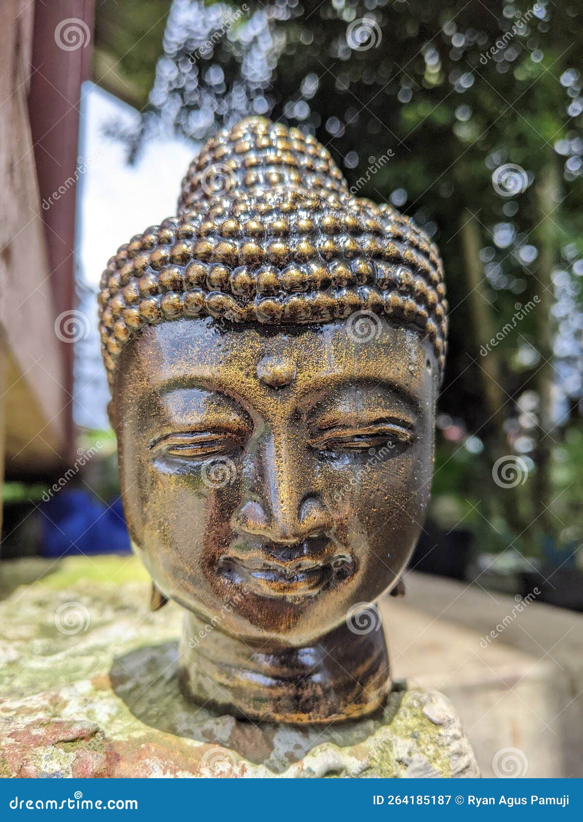 Small Buddha statue stock image. Image of unique, beautiful 264185187