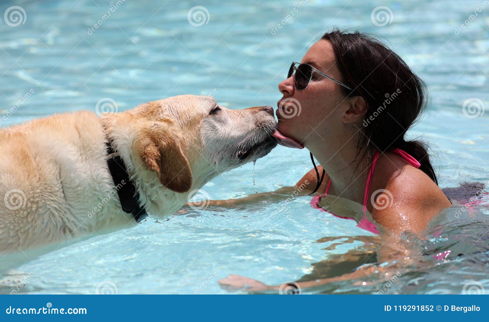 Beautiful Unique Golden Retriever Labrador Dog and Girl Relaxing at the  Pool in a Floating Bed, Dog Super Funny. Stock Photo - Image of cool,  float: 119291852