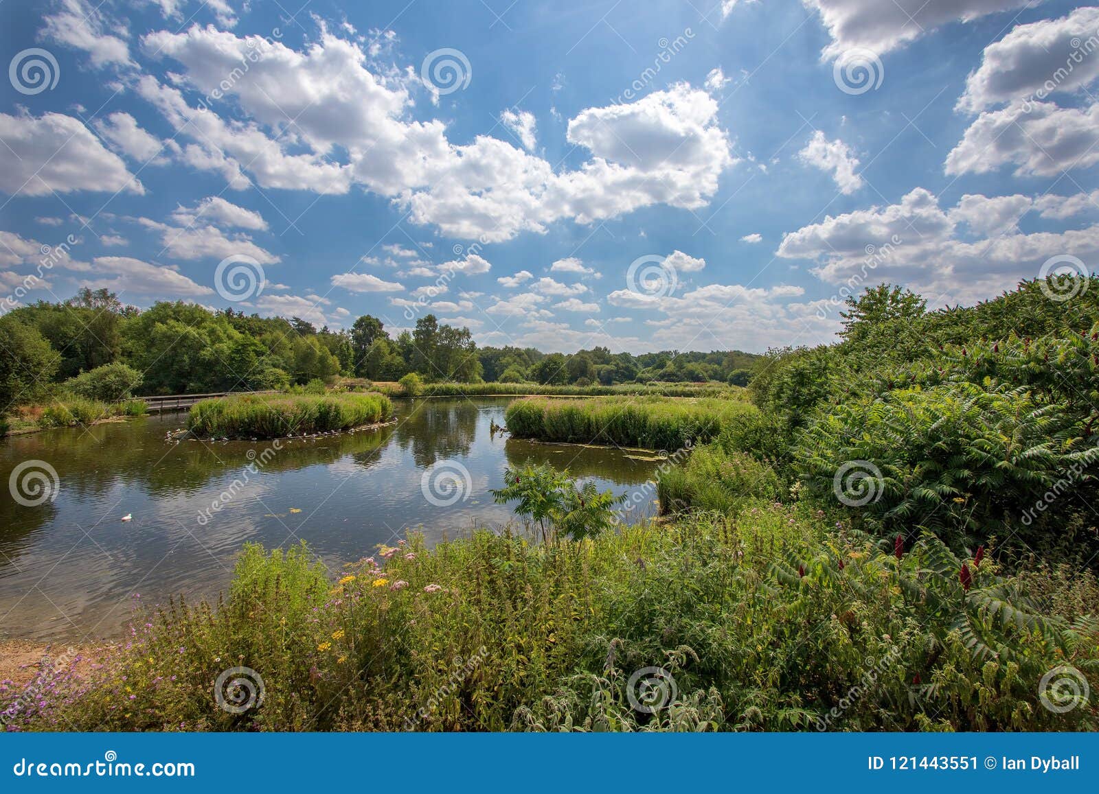 beautiful unspoiled english country lake landscape. rural vacation getaway destination.