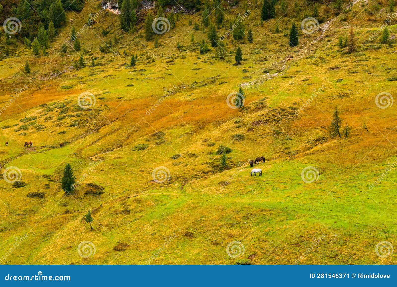 Beautiful Valley Covered with Green Grass Carpet Stock Image Image of