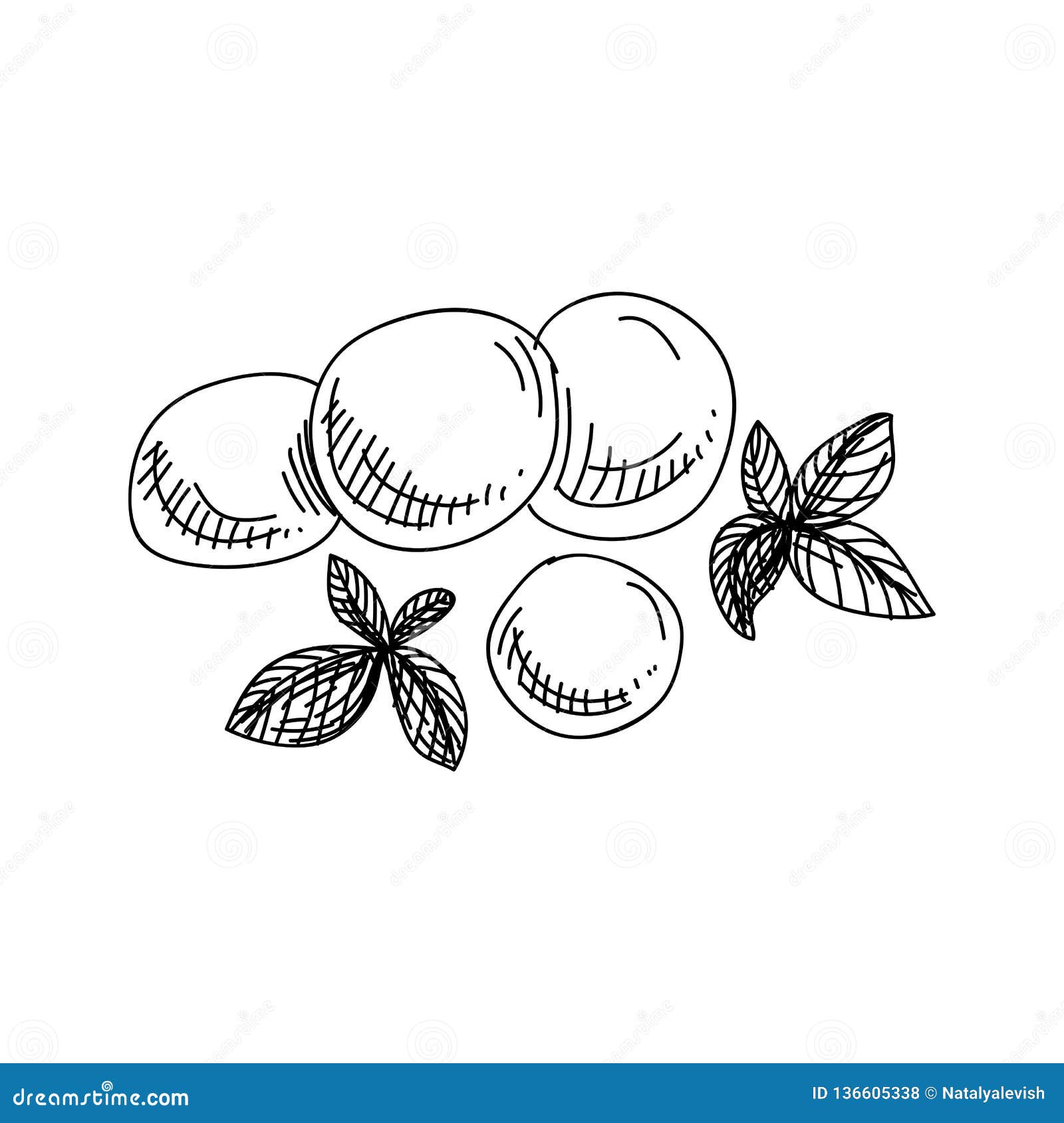 Cheese Ball Character Design. Mozzarella Cheese Ball On White Background.  Cheese Fried. Ketchup In White Dip Bowls. Tomato Sauce. Royalty Free SVG,  Cliparts, Vectors, and Stock Illustration. Image 184030092.