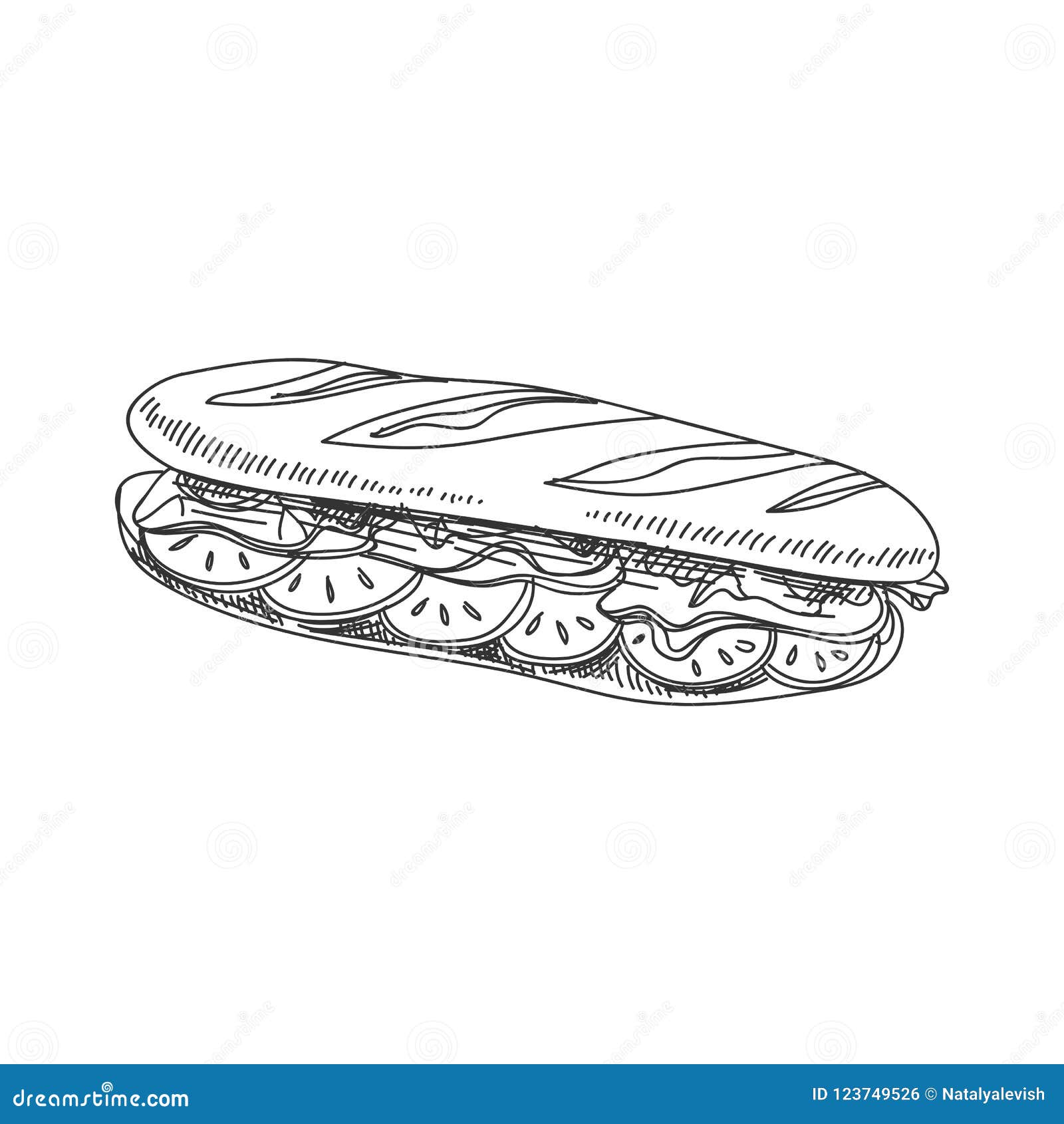  hand drawn sandwich baguette 