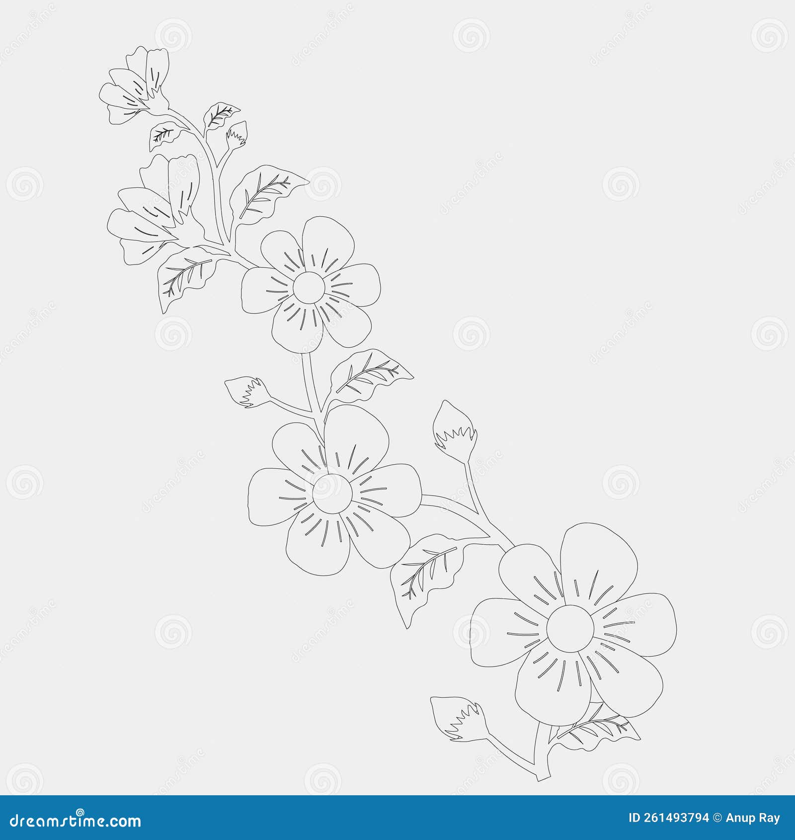 Beautiful Vector Line Art Floral Designs. Stock Vector Illustration