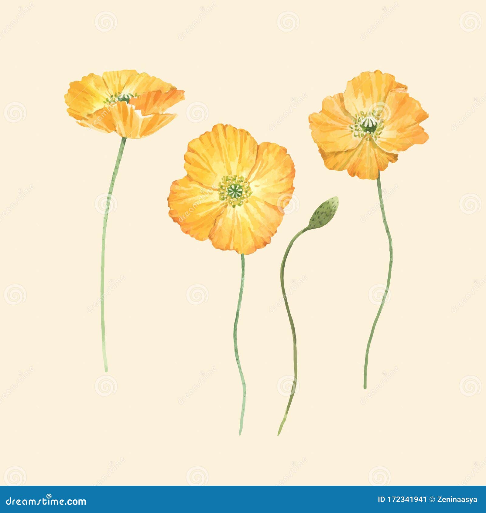 Beautiful Vector Set Composition with Watercolor Yellow Poppy Flowers ...