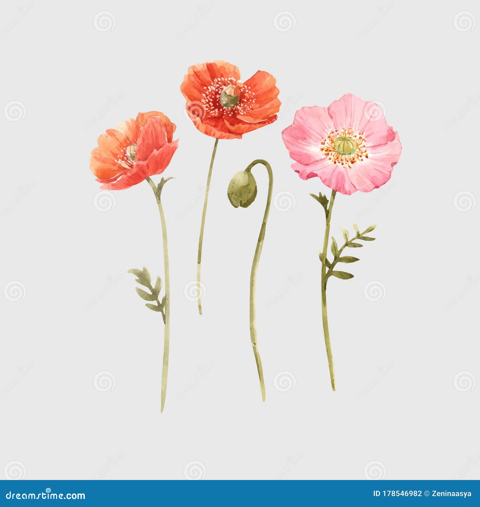 https://thumbs.dreamstime.com/z/beautiful-vector-watercolor-floral-set-red-pink-poppy-flowers-stock-illustration-hand-drawn-178546982.jpg