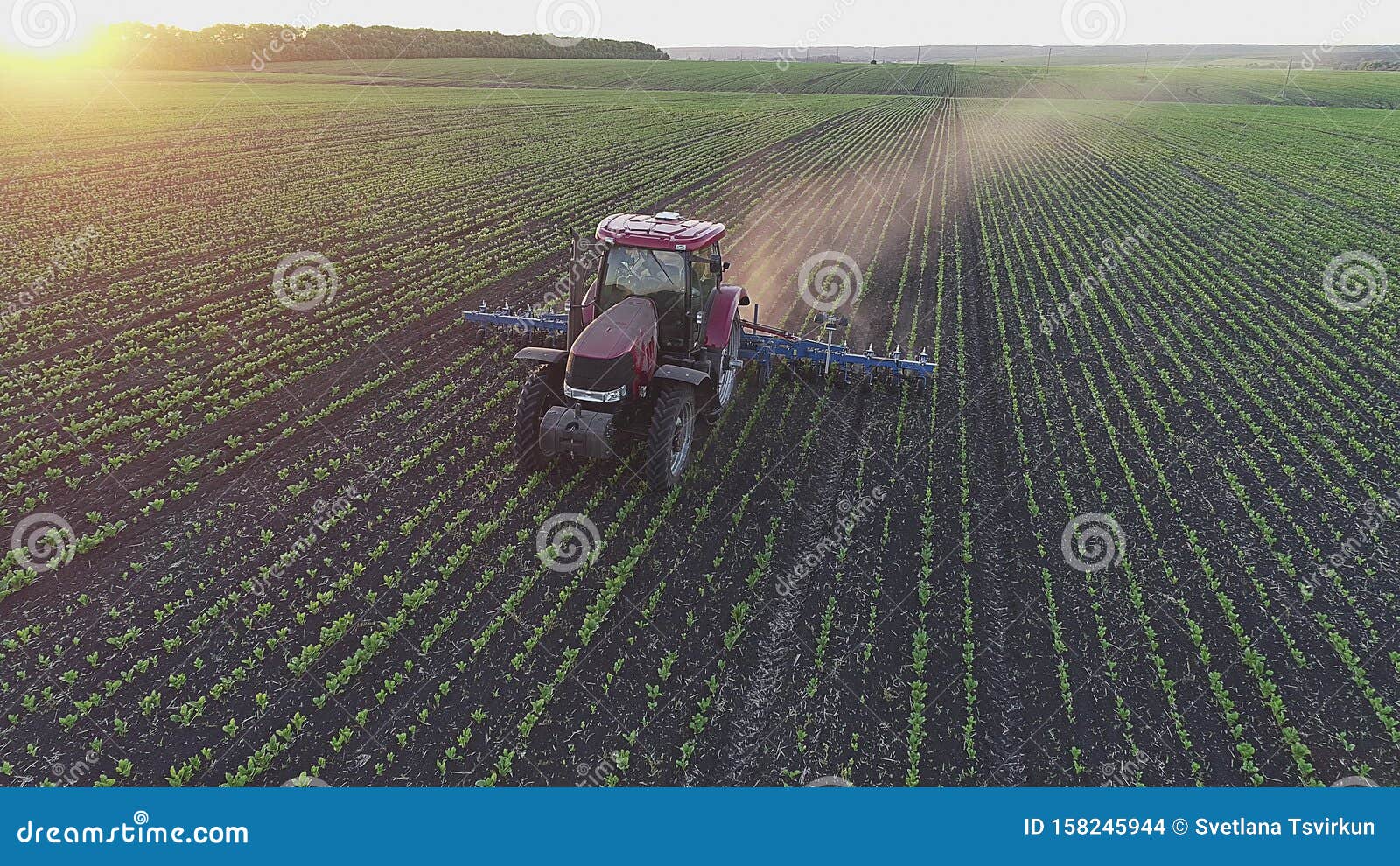 beautiful view of agricultural tractor in the field on the sunset.