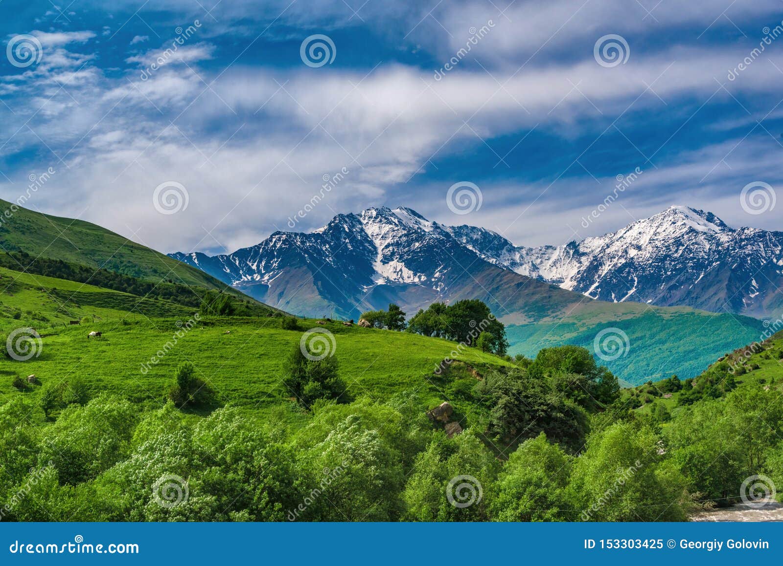 Beautiful View Of Alpine Meadows In The Caucasus Mountains Pastures