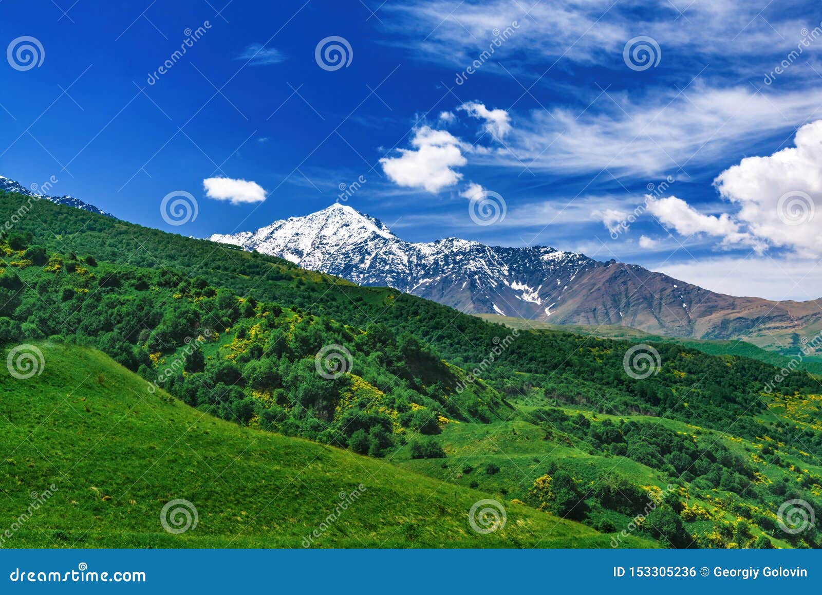 Beautiful View Of Alpine Meadows In The Caucasus Mountains Pastures