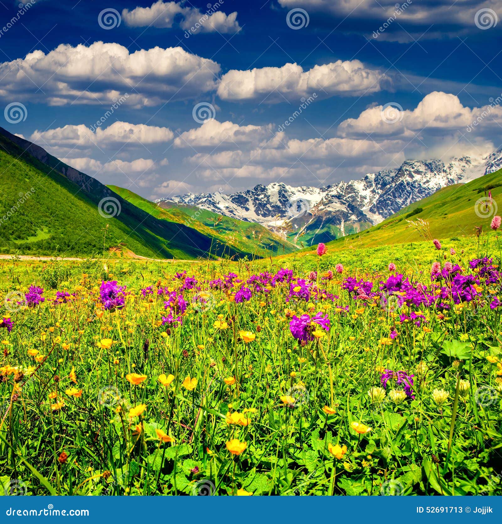 beautiful view of alpine meadows in mountains.