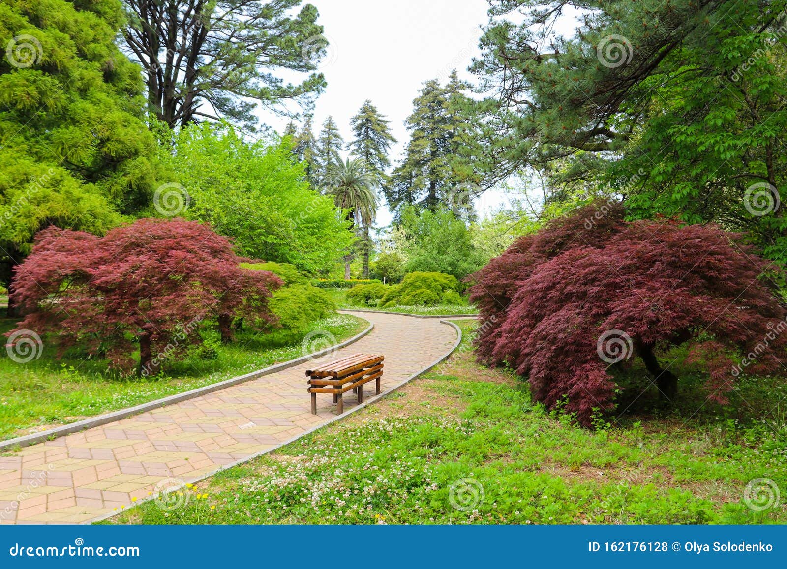 Beautiful View Of Batumi Botanical Garden Georgia Stock Photo