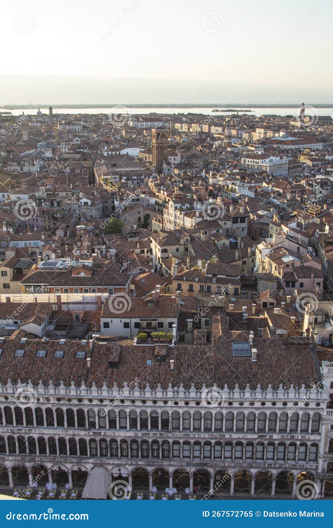 beautiful view from the bell tower of the campanella to the museum correr and the panorama of the city in venice