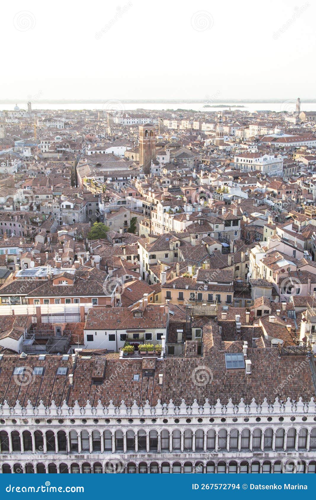 beautiful view from the bell tower of the campanella to the museum correr and the panorama of the city in venice