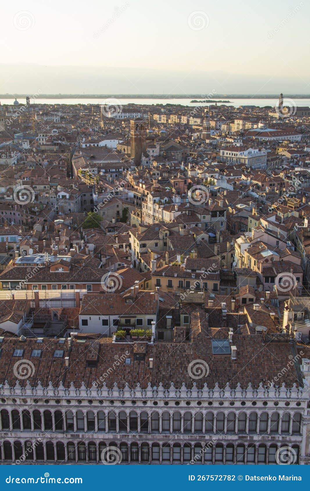 beautiful view from the bell tower of the campanella to the museum correr and the panorama of the city in venice