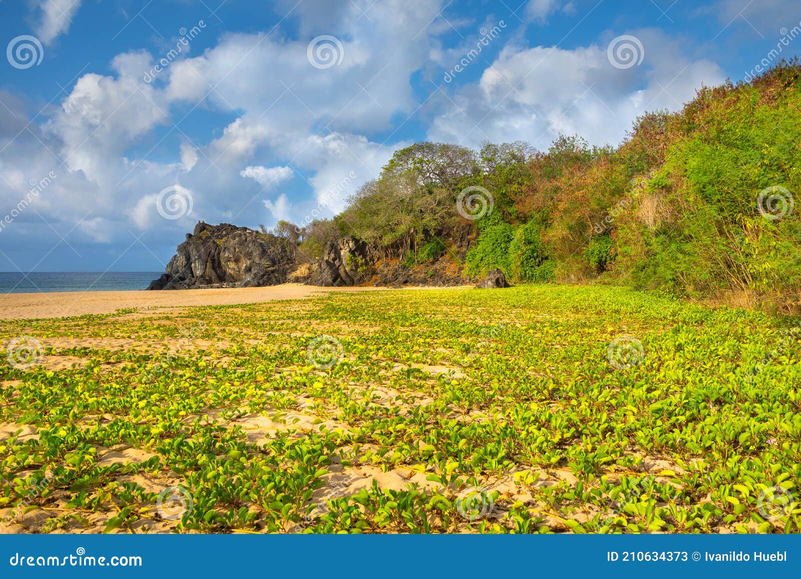 cacimba do padre beach in fernando de noronha island brazil worldwide known for surfing practice.