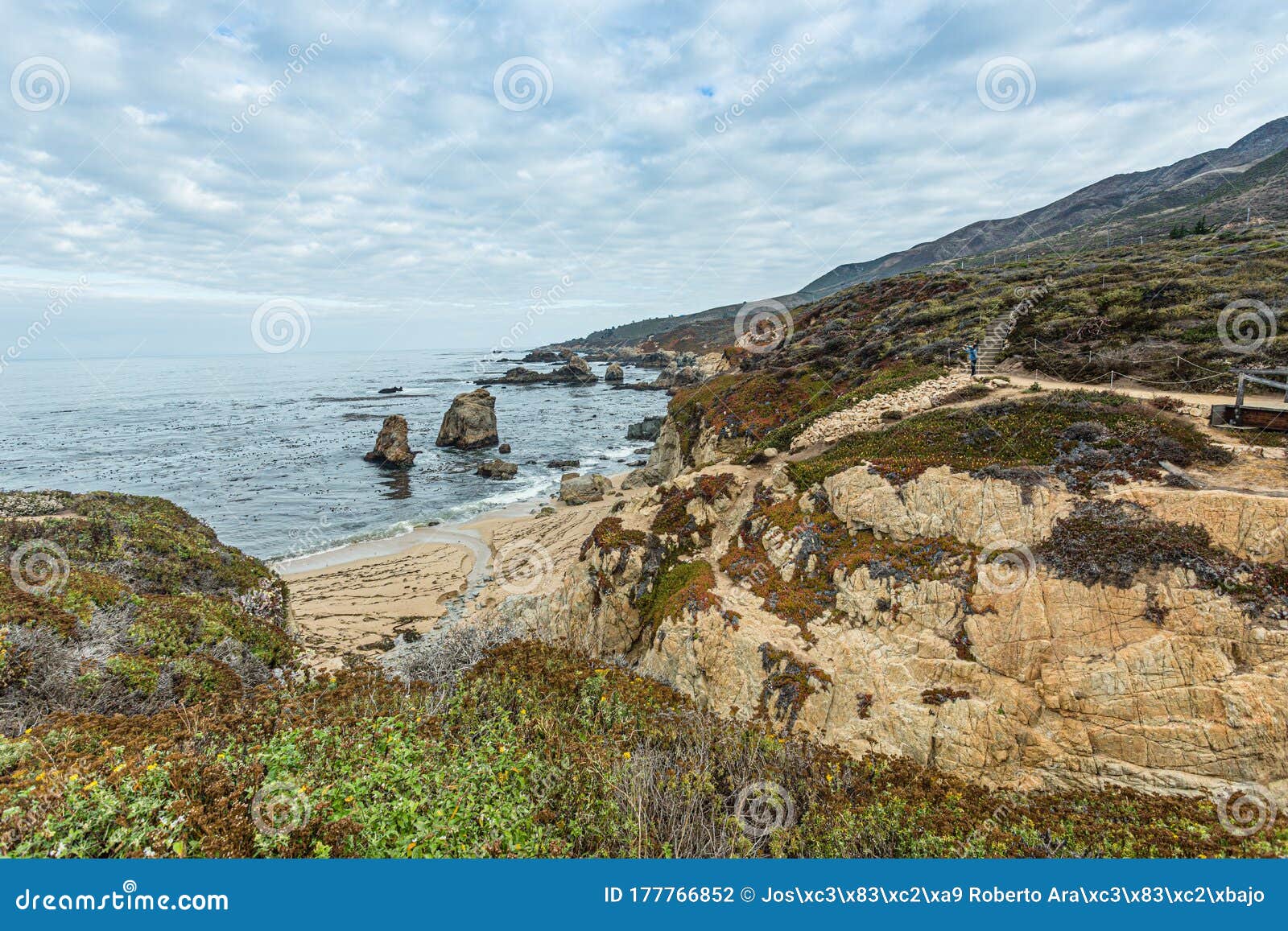 a beautiful view in  califÃÂ³rnia coast - big sur, condado de monterey, califÃÂ³rnia