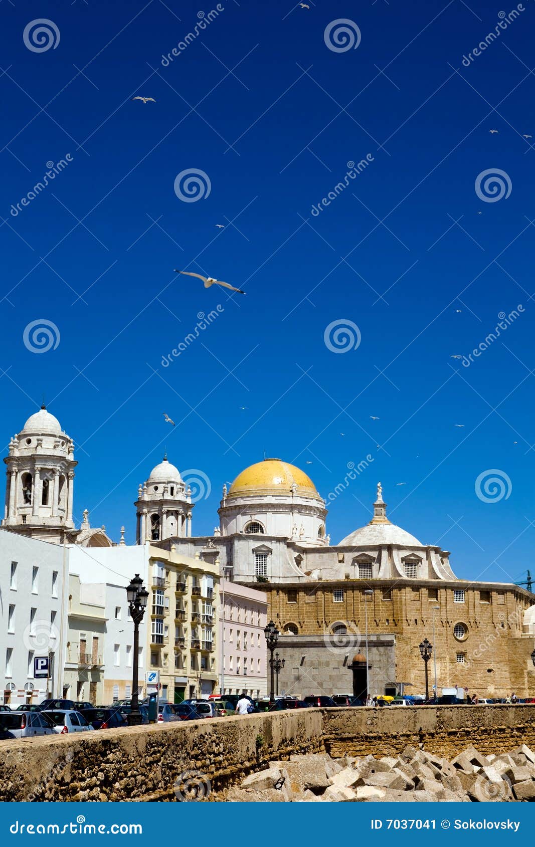 beautiful view of the cathedral nueva in cadiz