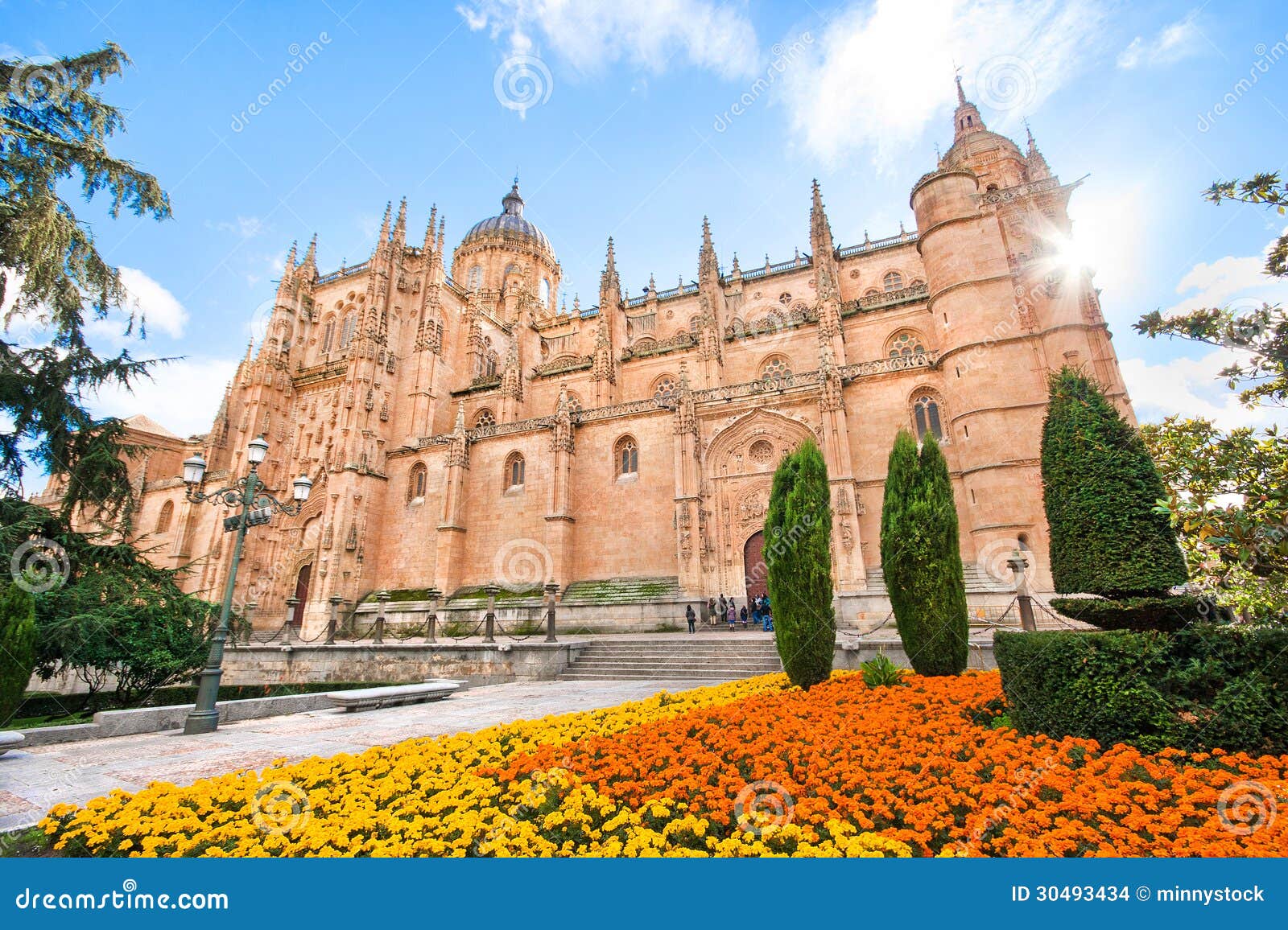 beautiful view of cathedral of salamanca, leon region, spain