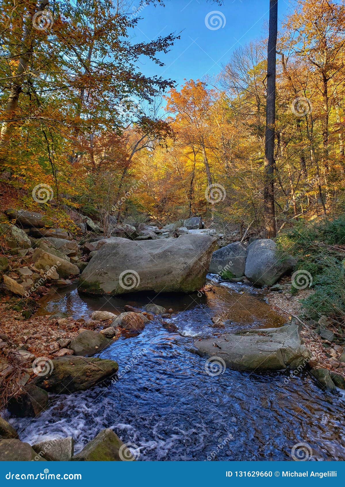 Autumn Mountain Stream Landscape View Blue Ridge Mountains In Fall