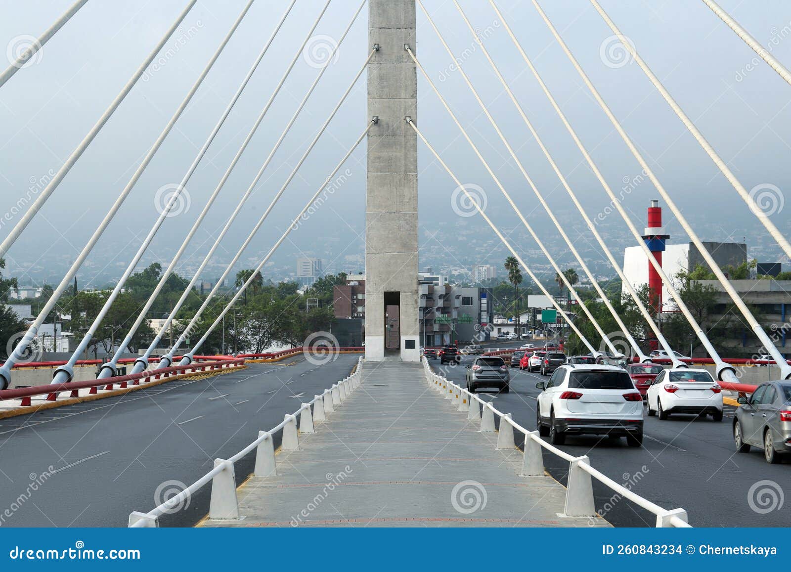 beautiful view of modern bridge in city