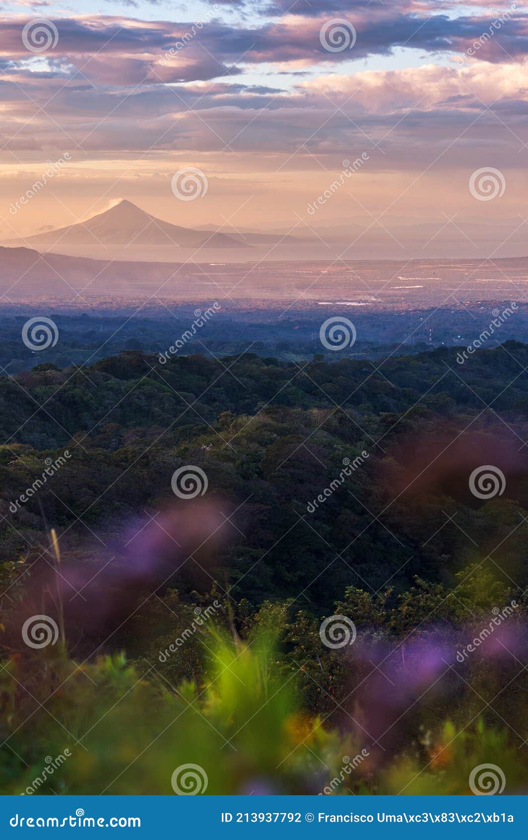 beautiful view of the momotombo volcano on lake managua in nicaragua at sunset with purple flowers out of focus in the foreground