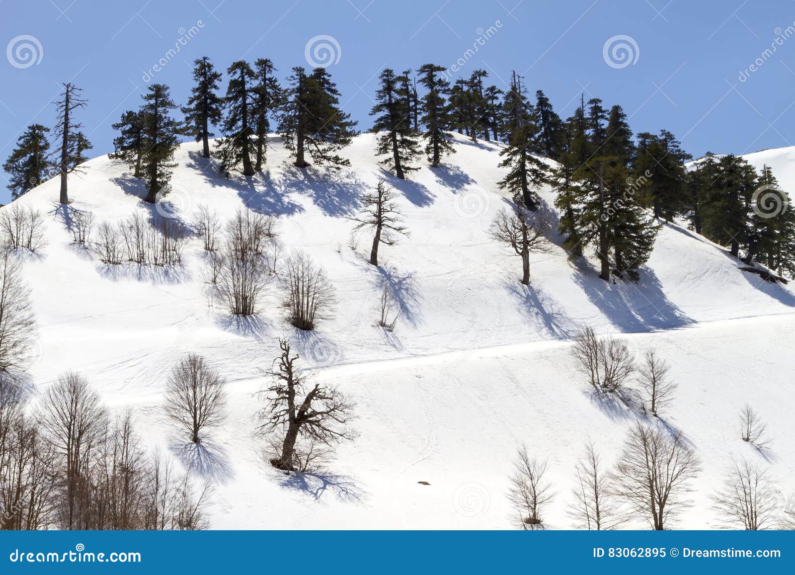 beautiful view of the mountain vasilitsa in greece. winter background