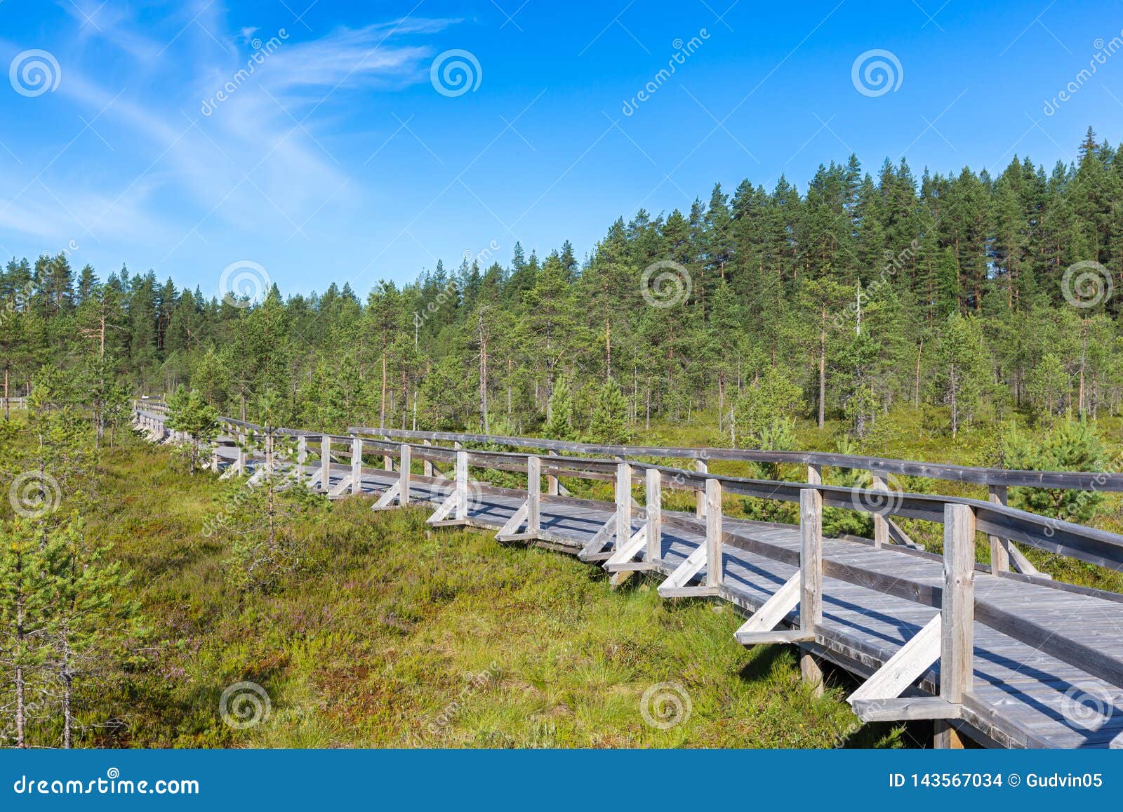 Beautiful View of National Park in Finland. Sunny Summer Day Stock ...