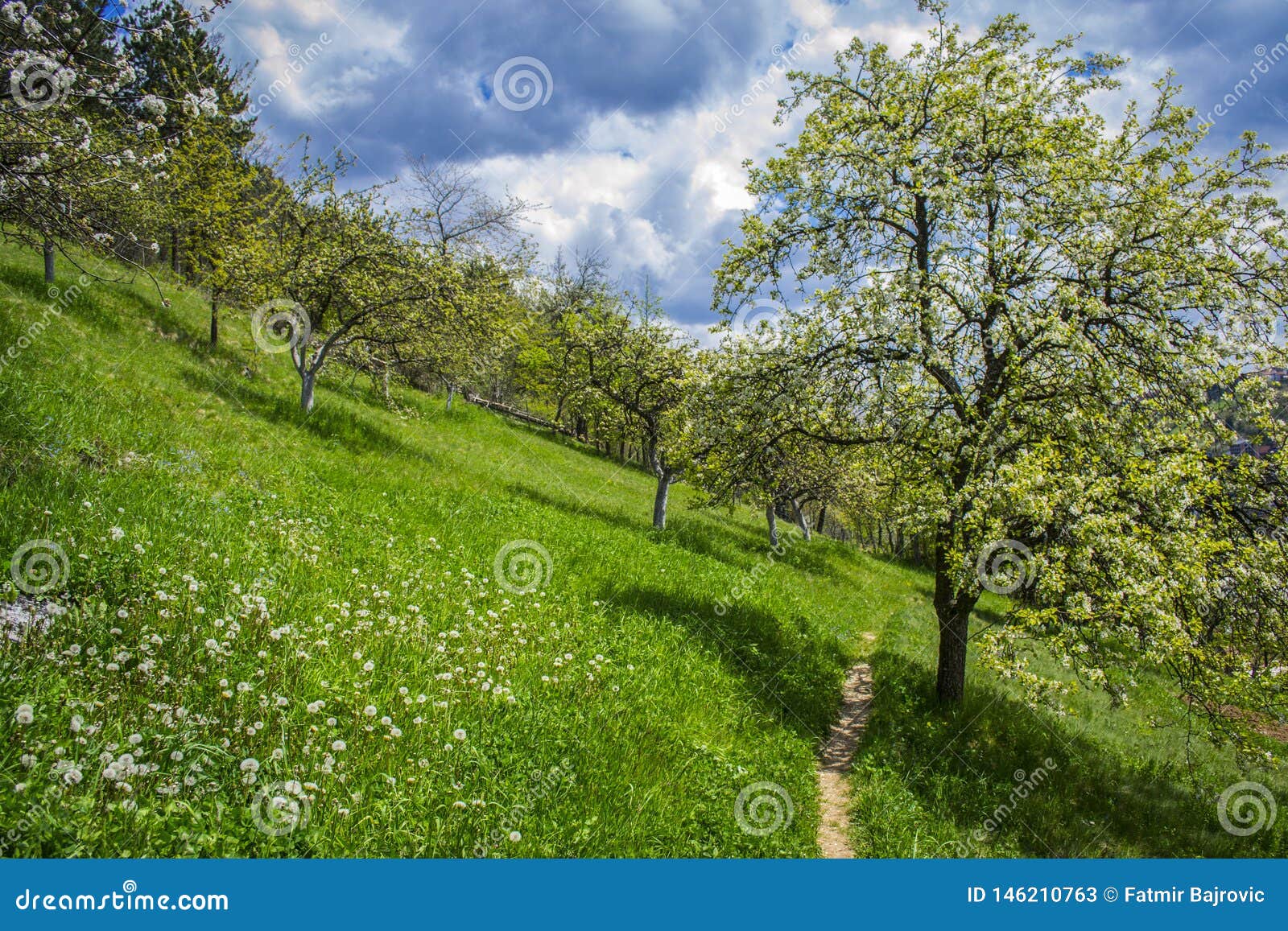 A Beautiful View of Natural Beauty. a View of the Spring Landscapes