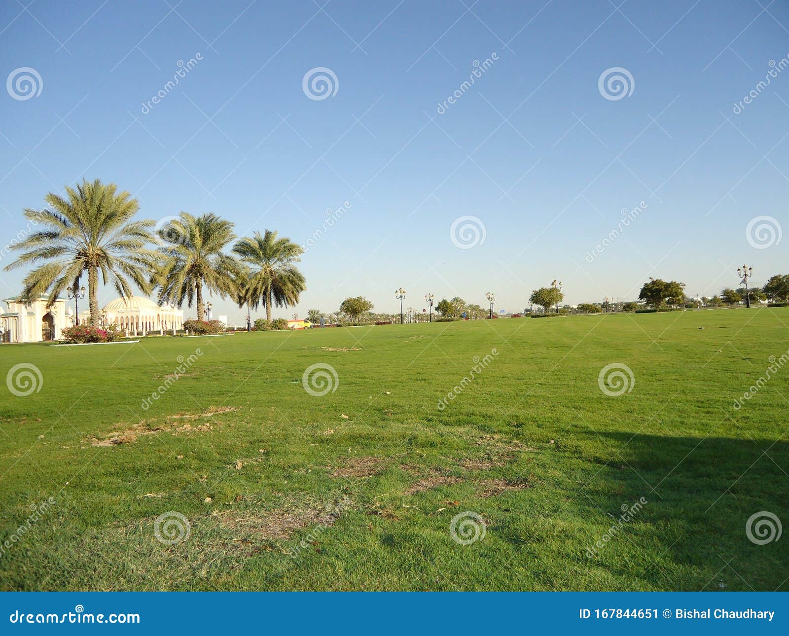 beautiful view of nature and green ground