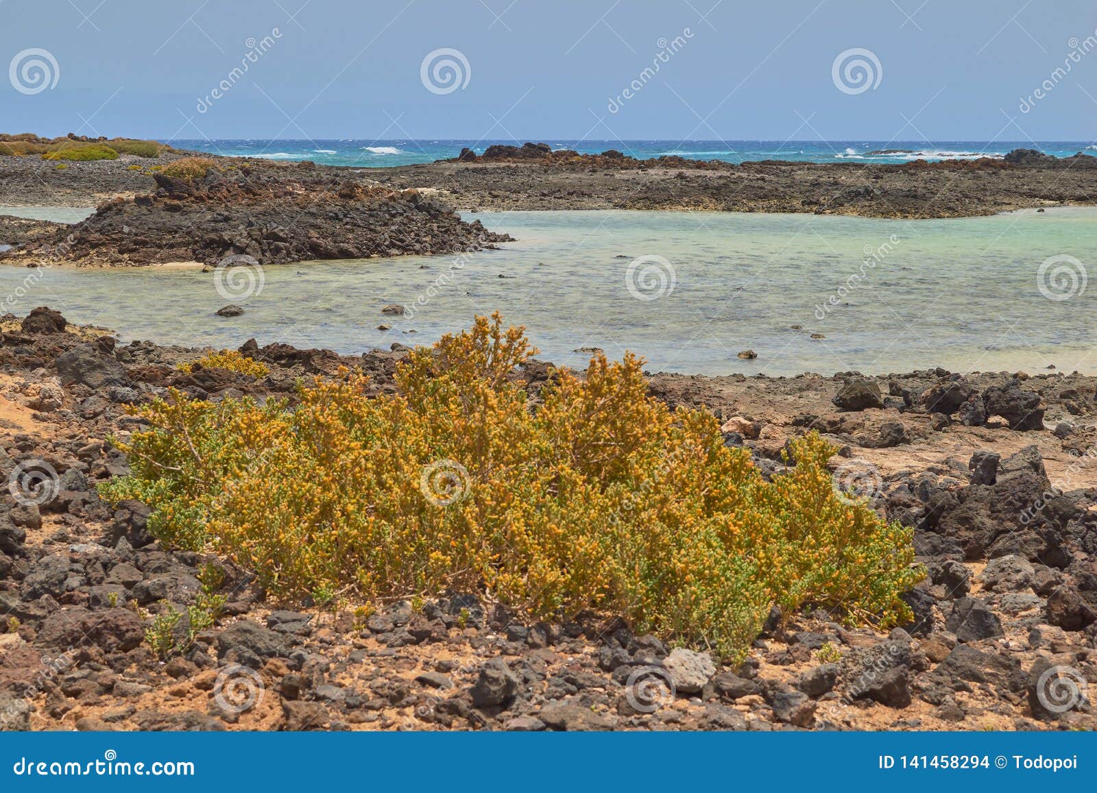 beautiful view of the sea of crystal clear water in isla de lobos, fuerteventura