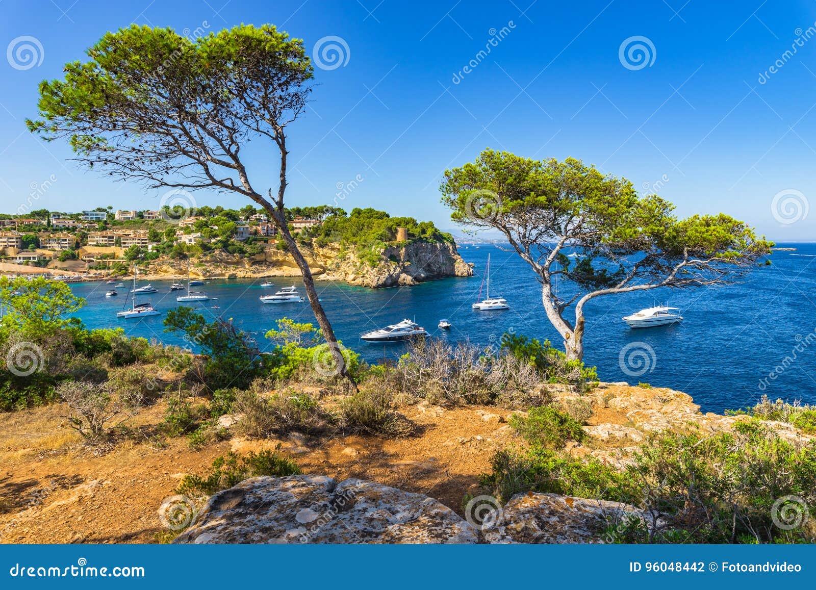 beautiful view of portals vells bay with boats on majorca spain