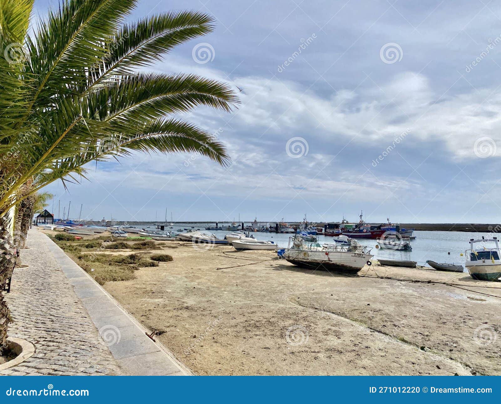 view of the ria formosa natural park in luz de tavira