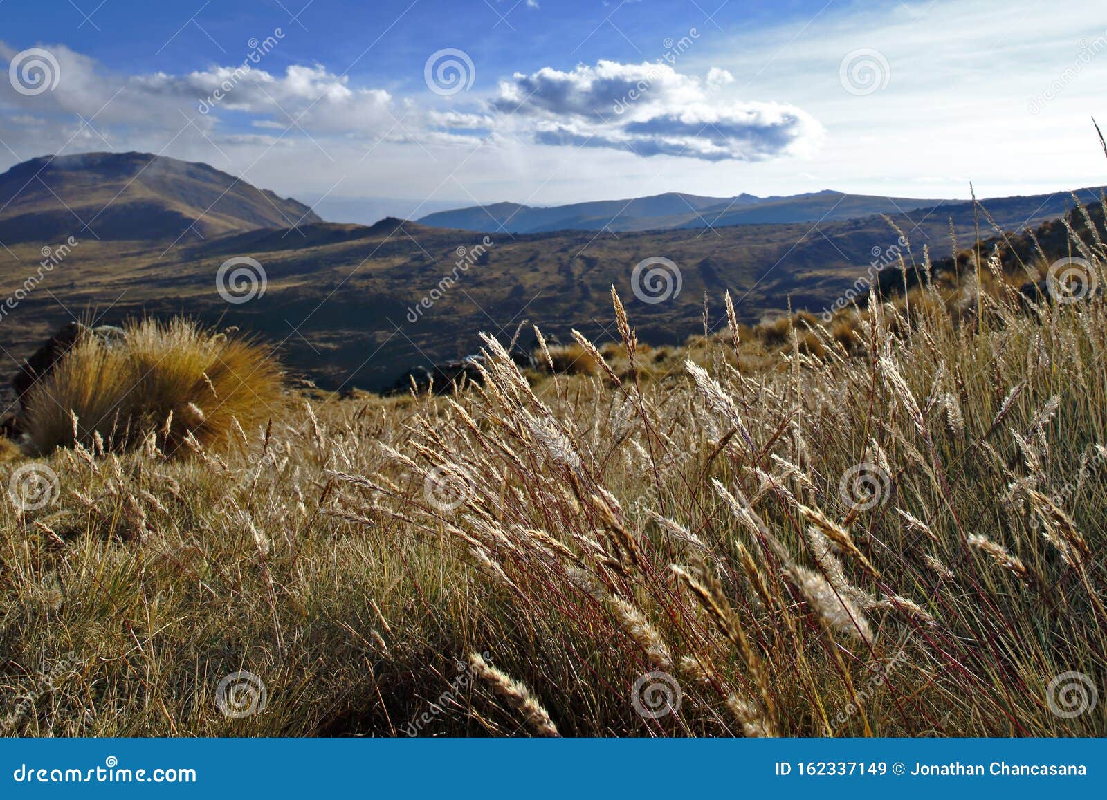 pradera in the andean