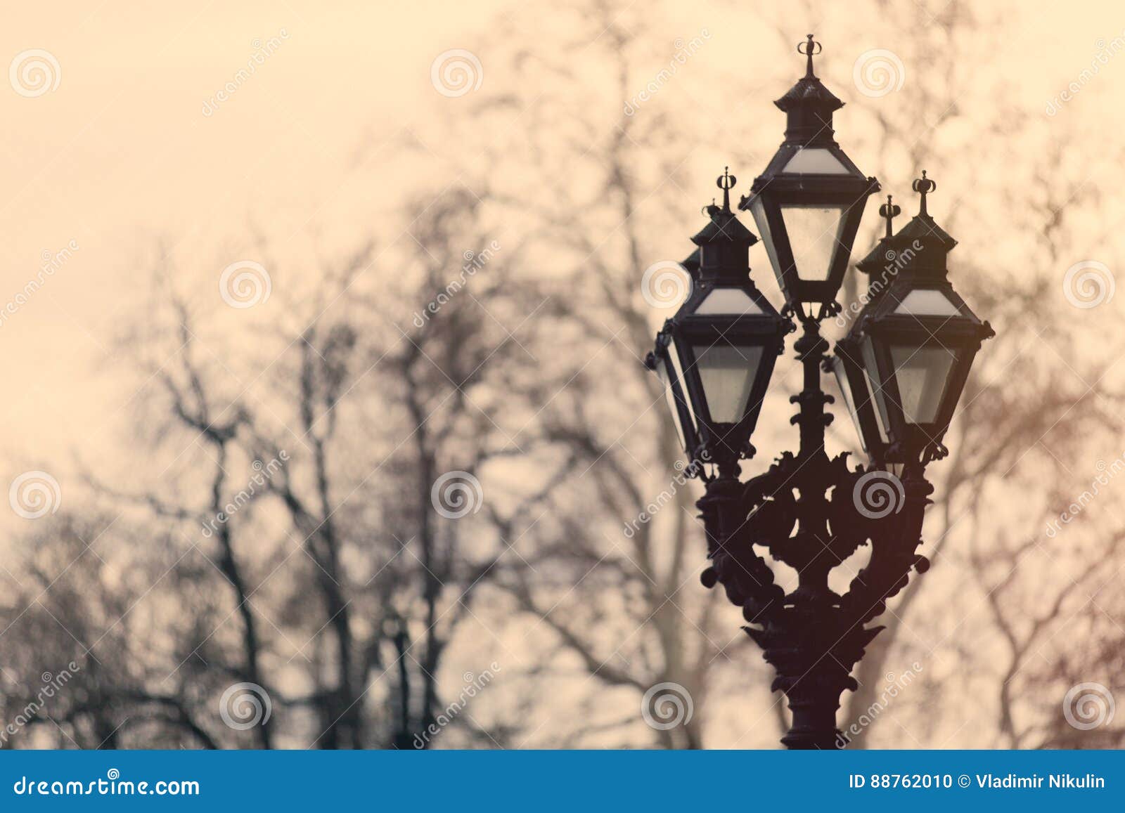 Beautiful View on Vintage Lamp Post on the Trees Background Stock Photo Image of retro