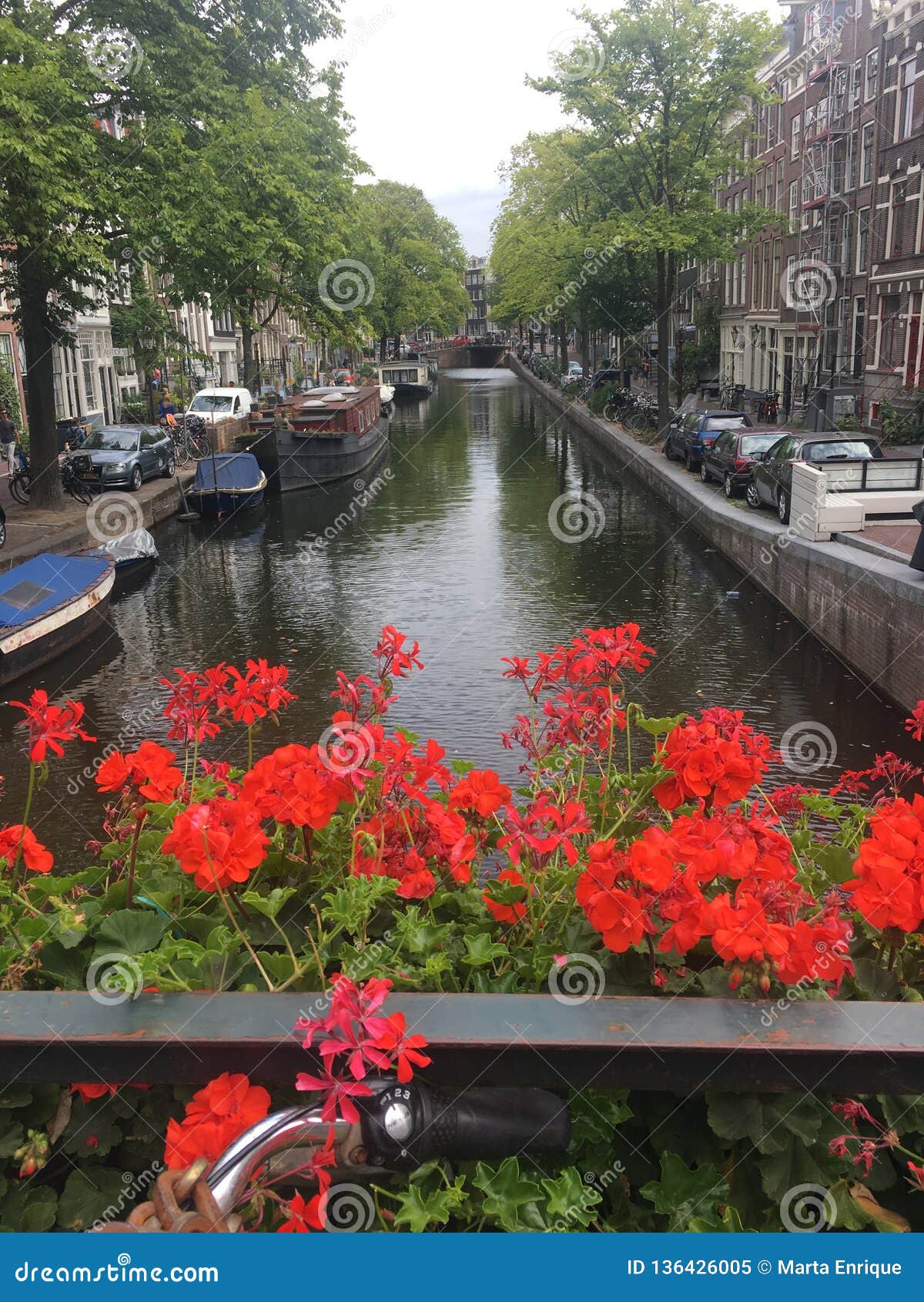 beautiful views in amsterdam