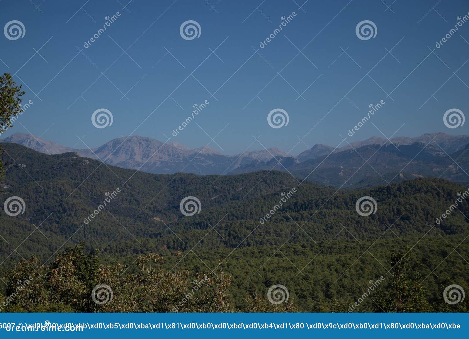 beautiful views of the mountain nature. mountains, forests, blue sky. the beauty of nature