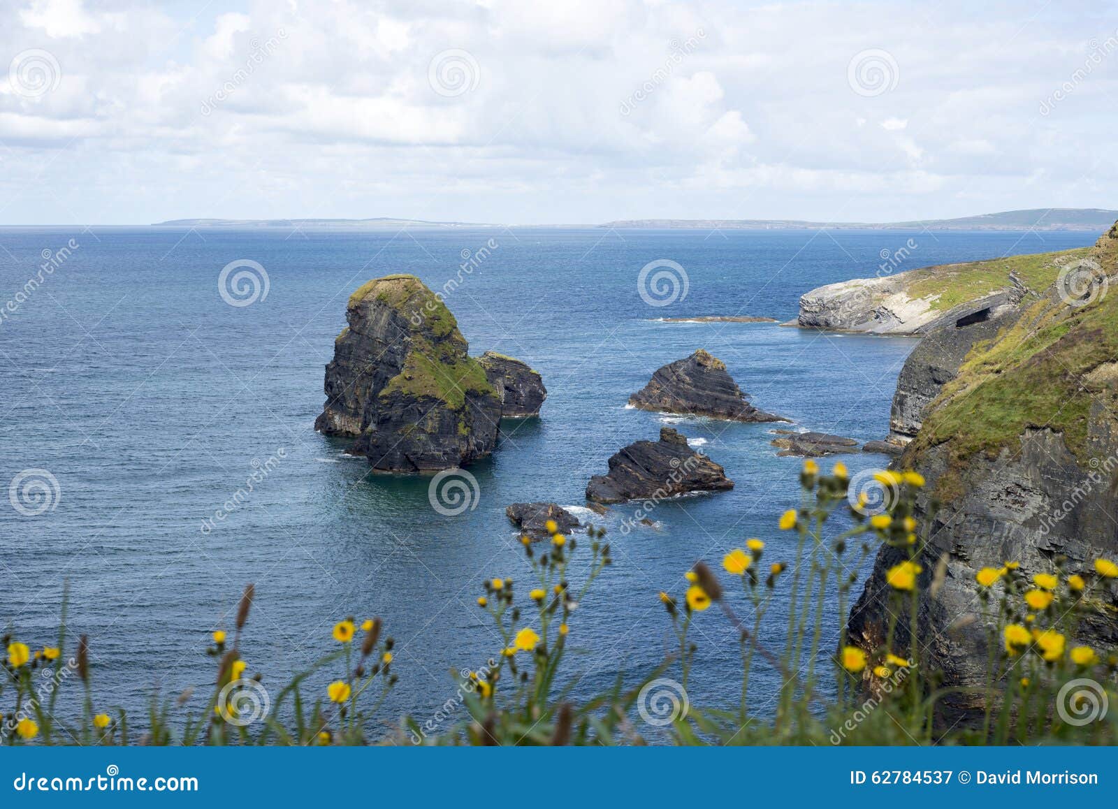 Beautiful views over the coastal rocks with wild tall grass on the wild atlantic way