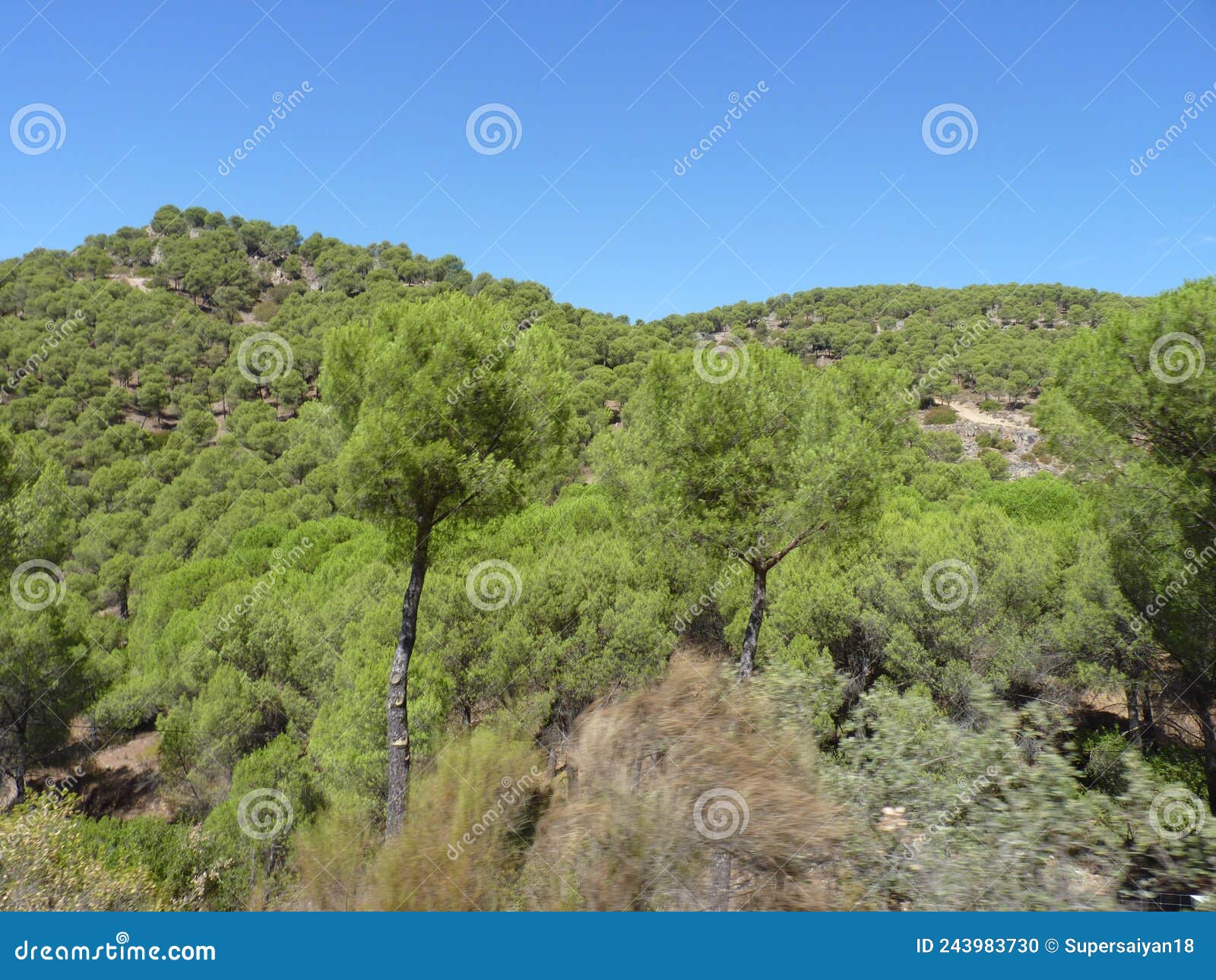 beautiful views of the sanctuary of the virgen de la cabeza in andÃÂºjar, andalusia