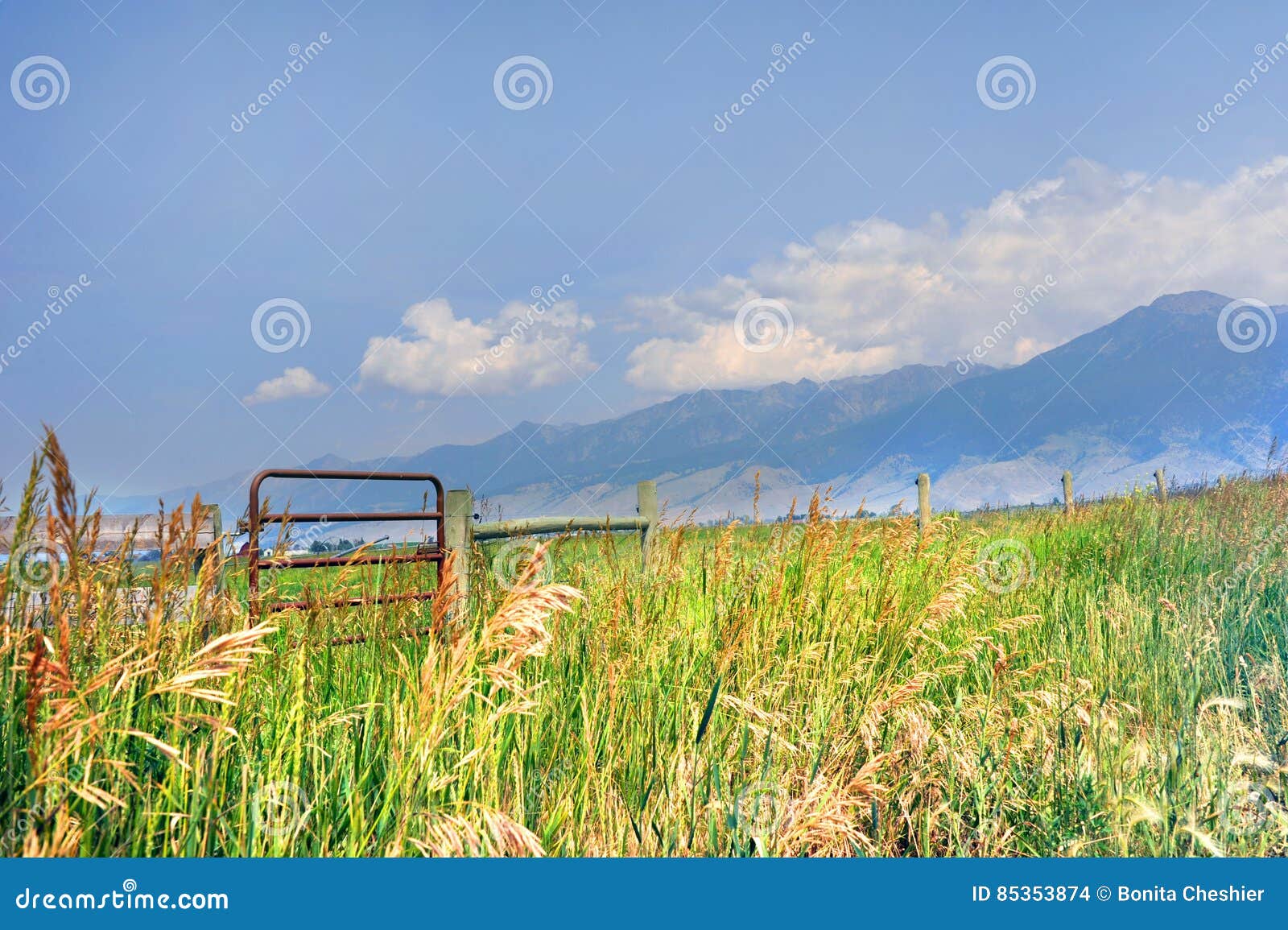 beautiful vista of absaroka mountain farm