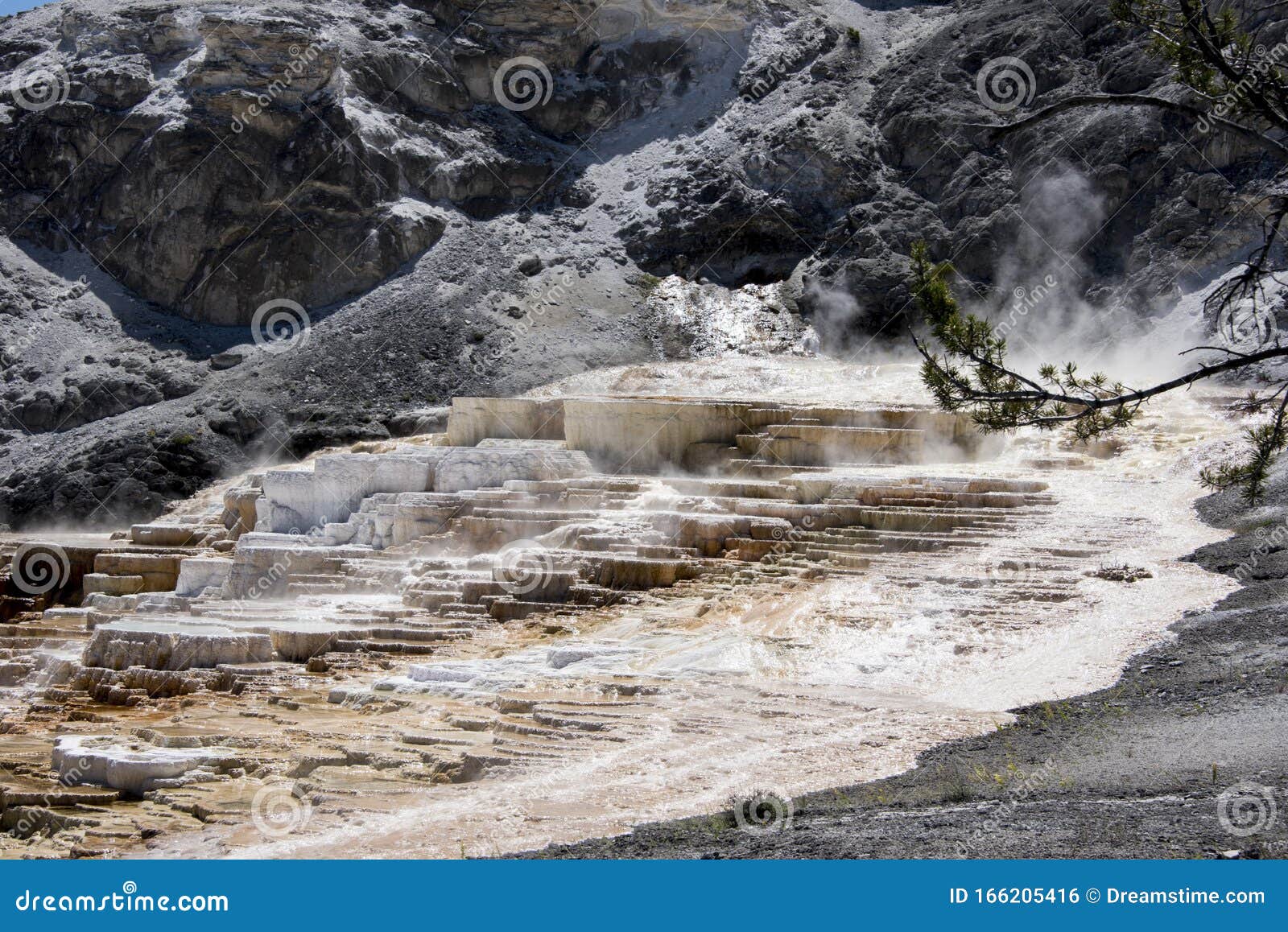 beautiful volcanic landscape in yellowstone