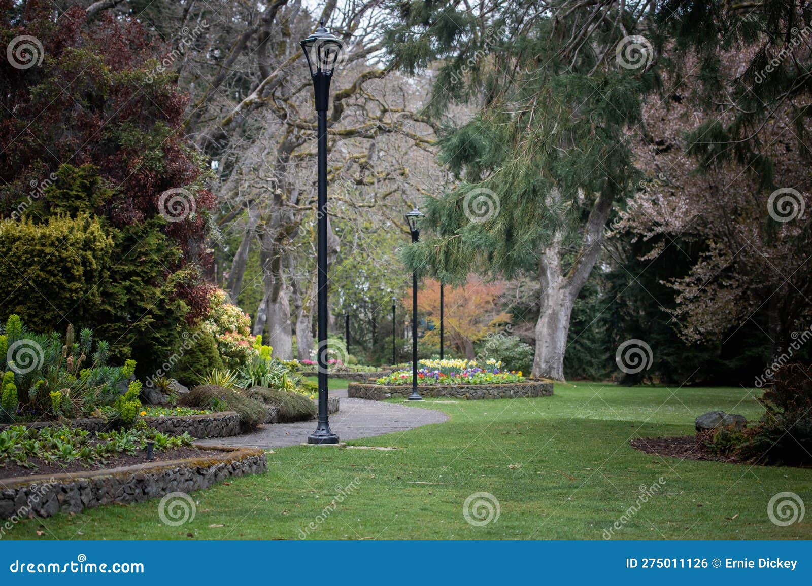 Beacon Hill Park – Walks in Your Backyard