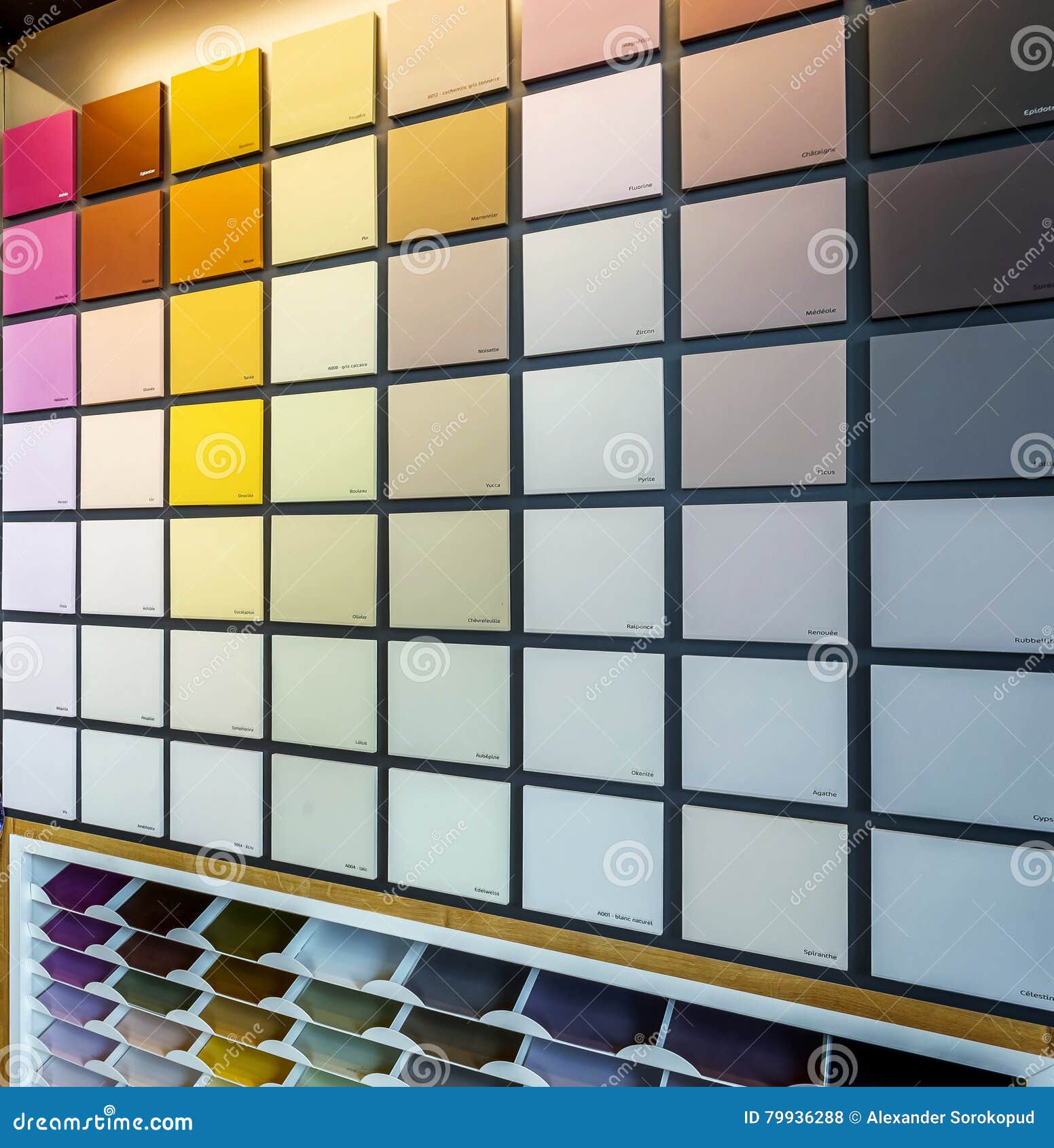 Beautiful Wall with Color Samples in Painting Shop Stock Photo Image