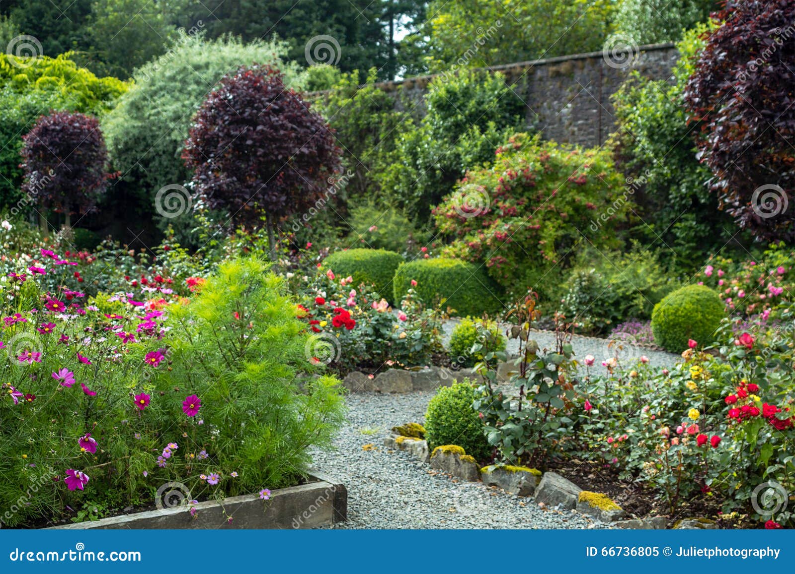 Beautiful Walled Garden, UK Stock Image Image of perennial, fashioned