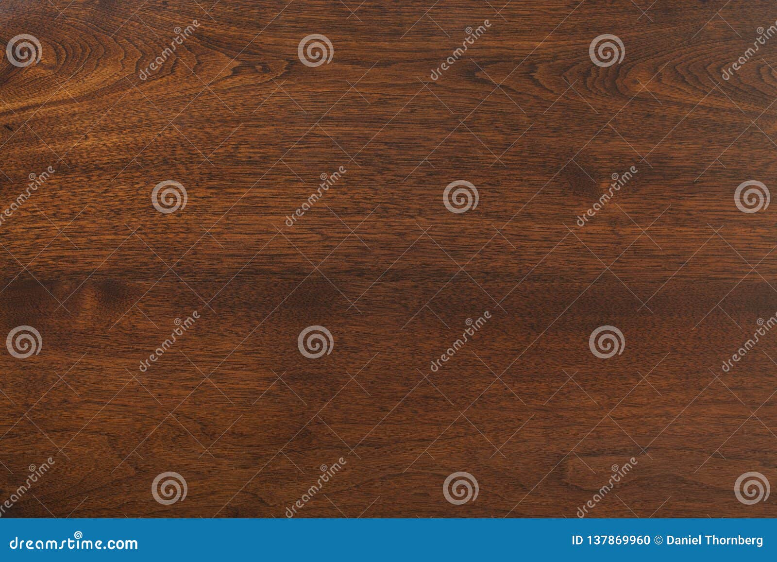 beautiful walnut wood texture background