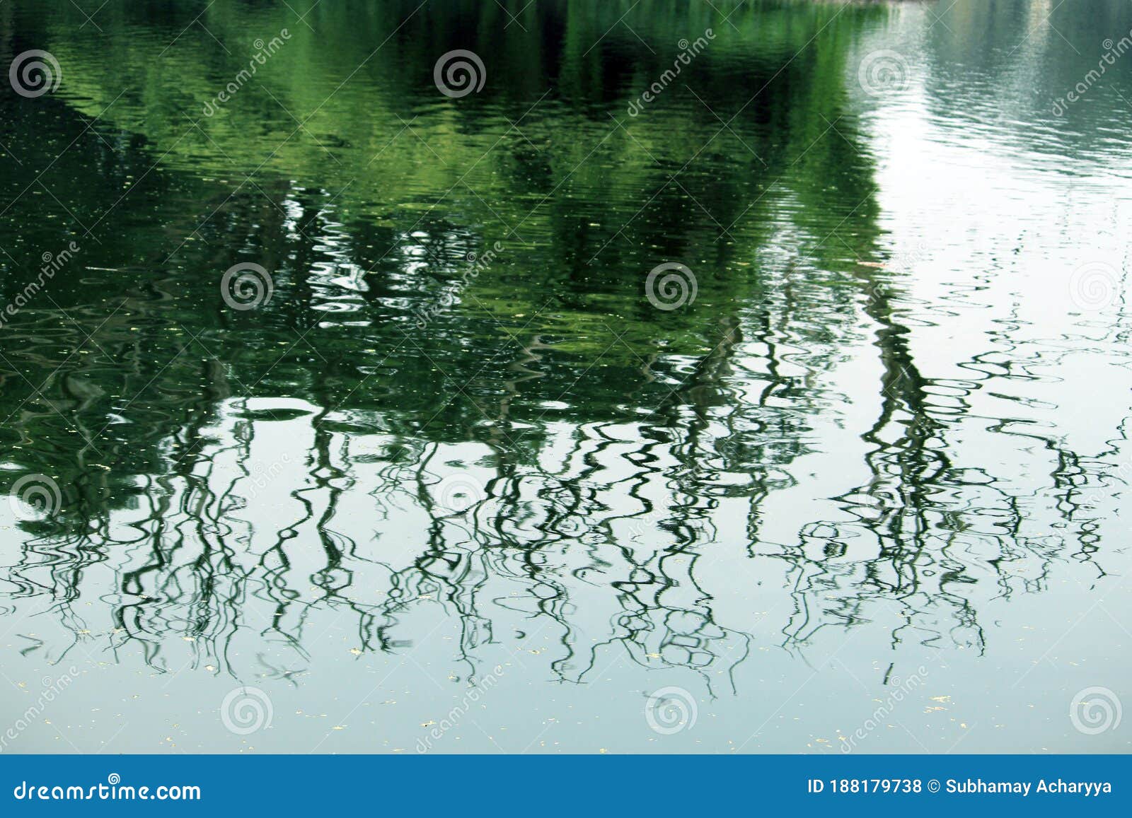 Beautiful Water Reflection Of Green Tree On Water And Water Ripple