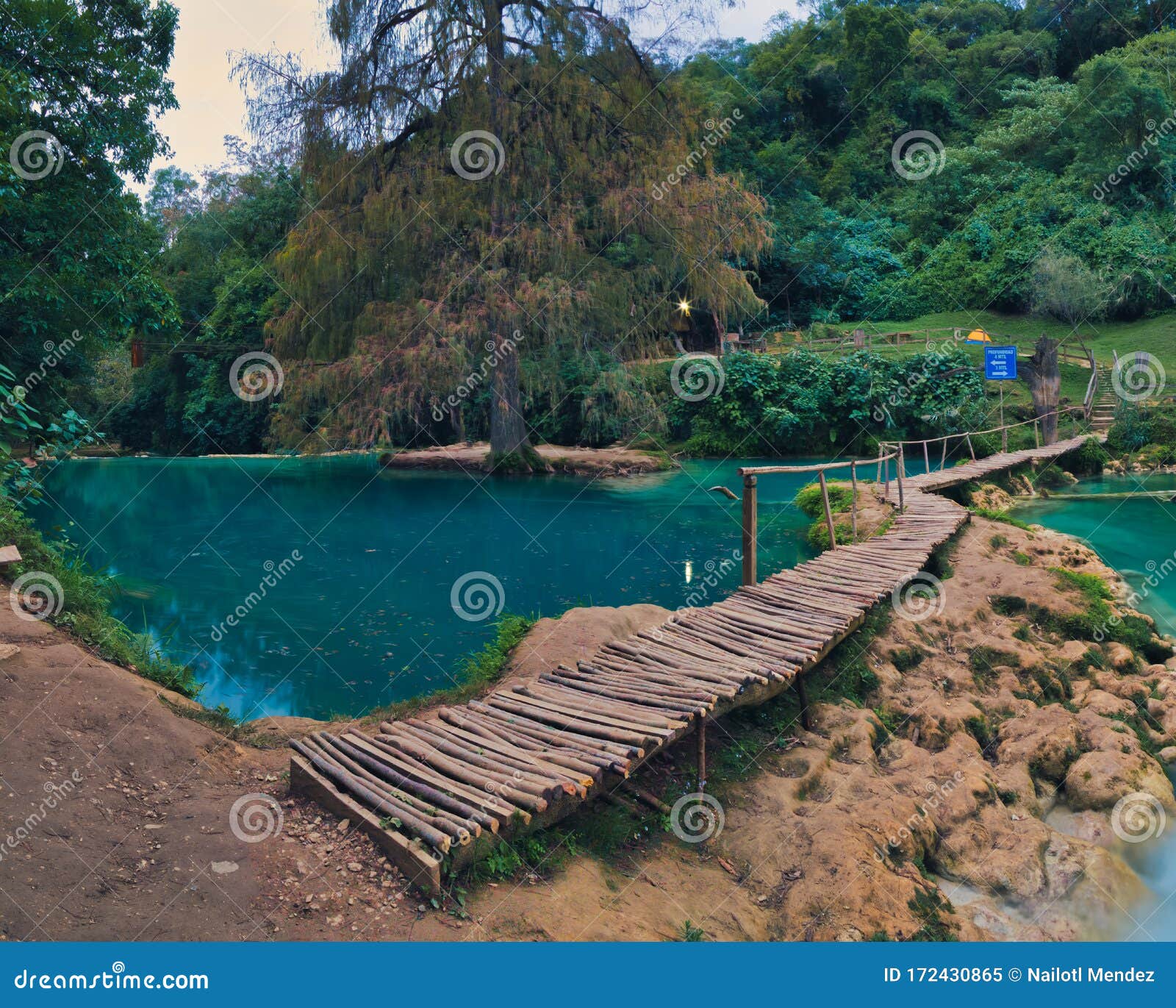 beautiful waterfall in deep forest old mines & x28;minas viejas & x29;, san luis potosi mexico