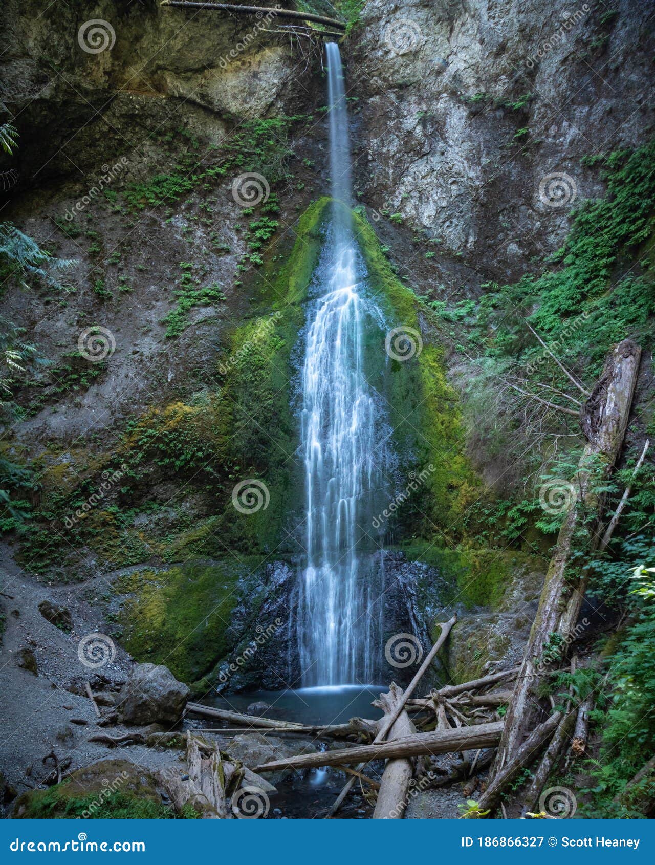 beautiful waterfall flowing down a rock face. marymere falls located in olympic national park.